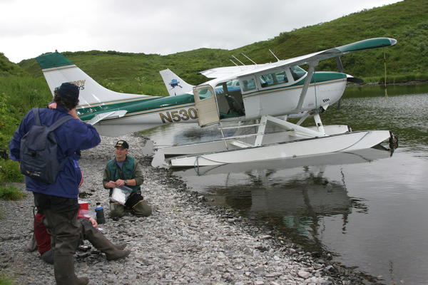 Bear Viewing Kodiak Island Alaska